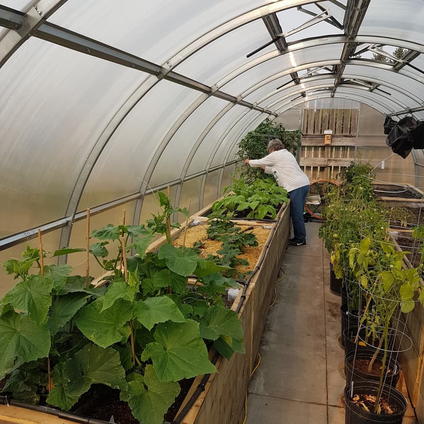 Happy customer with their greenhouse